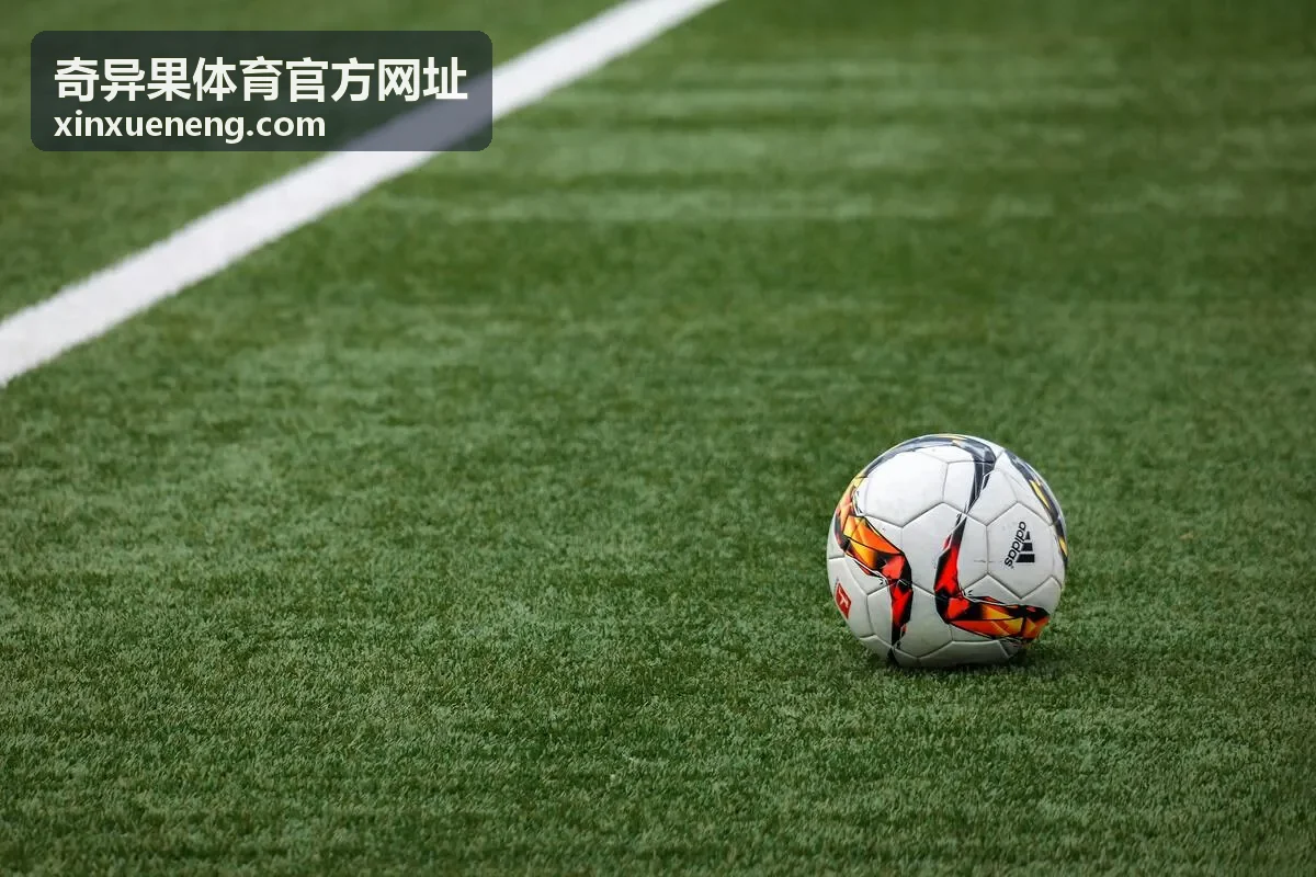 奇异果体育官方网址防守数据失分与抢断统计缩略图